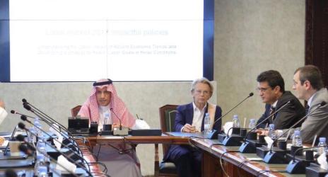 وزير العمل والتنمية الاجتماعية يلتقي رئيسة بعثة العلاقات مع شبه الجزيرة العربية في البرلمان الأوروبي