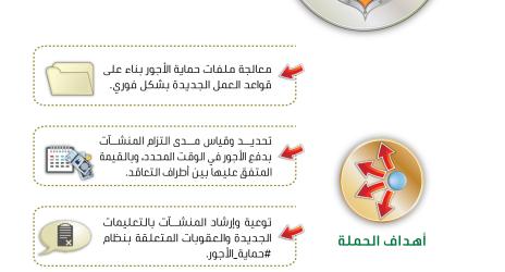 "العمل والتنمية الاجتماعية" تطلق غداً تحديثات جديدة على قواعد عمل نظام "حماية الأجور"