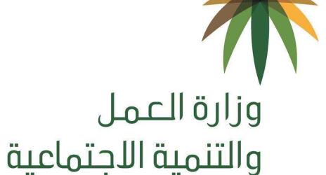 وزارة العمل والتنمية الاجتماعية تُشارك في حملة لمكافحة جرائم غسل الأموال