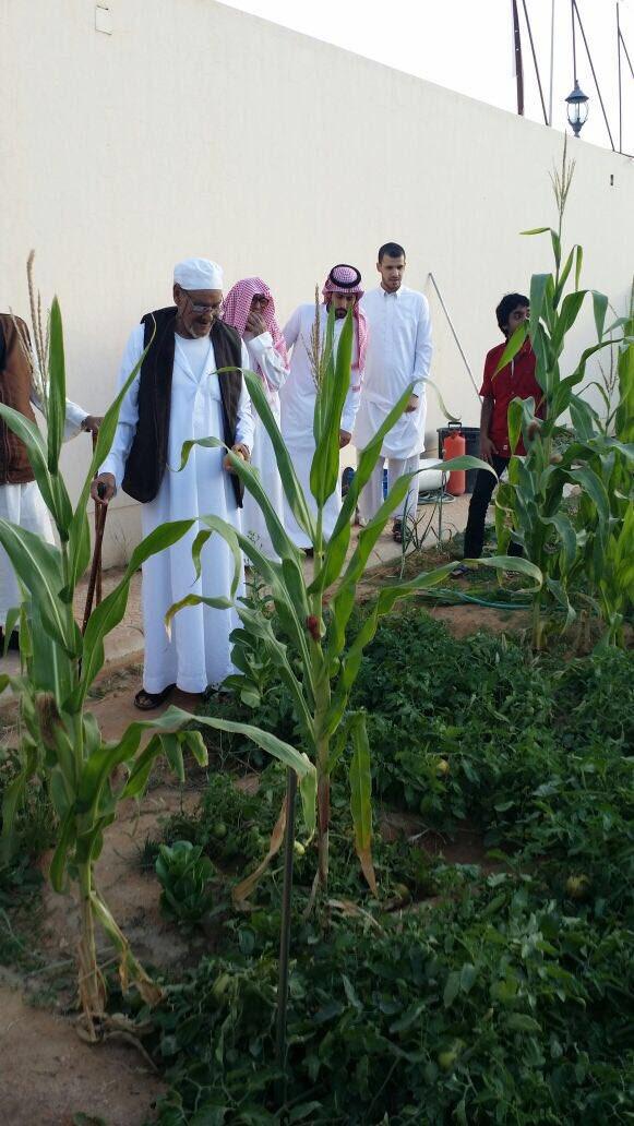 آباؤنا بدار الرعاية الاجتماعية للمسنين بالرياض يزرعون حديقة الدار بالخضروات ويشرفون بأنفسهم على غرسها